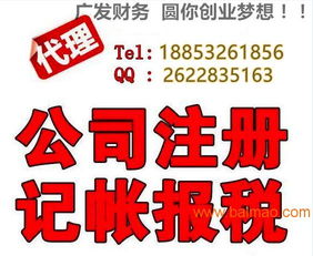 小公司代理記賬 選擇、服務廠家與價格解析